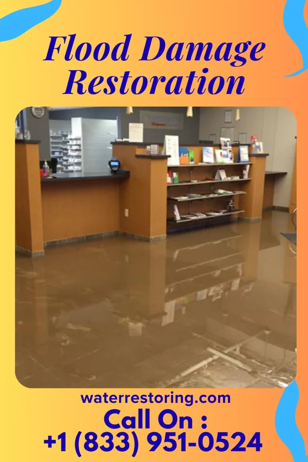 Flood Damage Restoration in Ong, NE