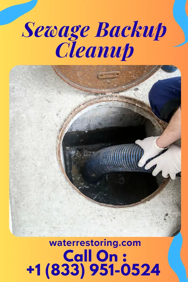 Sewage Backup Cleanup in Ong, NE